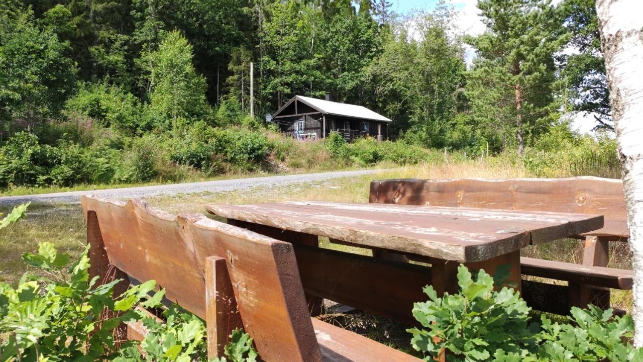 Solheim. Hytte Med 2 Soverom Birkenes Kültér fotó